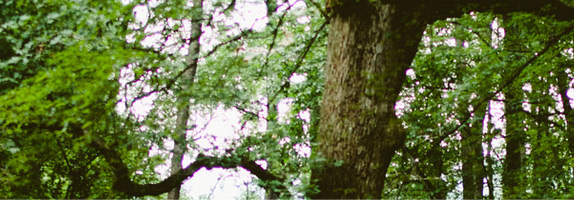 Take InnoPran XL sustained-release bead capsules on a routine schedule to obtain one of the most gain from it.