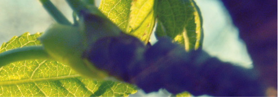 It's impossible to forecast how every patient will certainly react to the medicine so below are some of the most usual minor adverse effects that at times take place in people taking Inderal: diarrhea, rash, throwing up, lightheadedness, lightheadedness, excessive exhaustion, upset belly and difficulty resting.