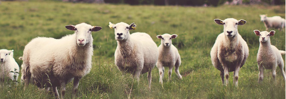 If you require to keep your higher blood pressure under command, Propranolol is a beta-blocker that you can take.